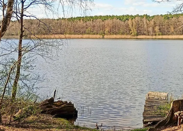 Amazing In With Sauna * Wilcze (Greater Poland)